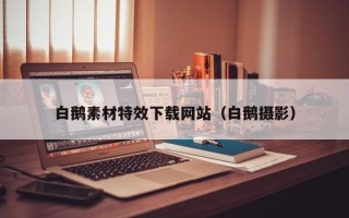 哈尔滨白鹅素材特效下载网站（白鹅摄影）